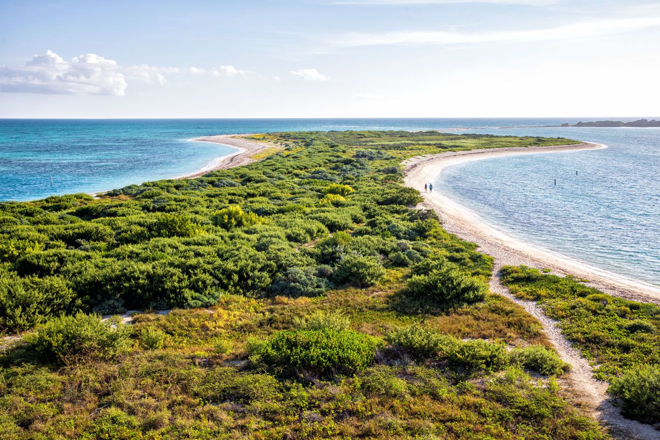 Bush Key