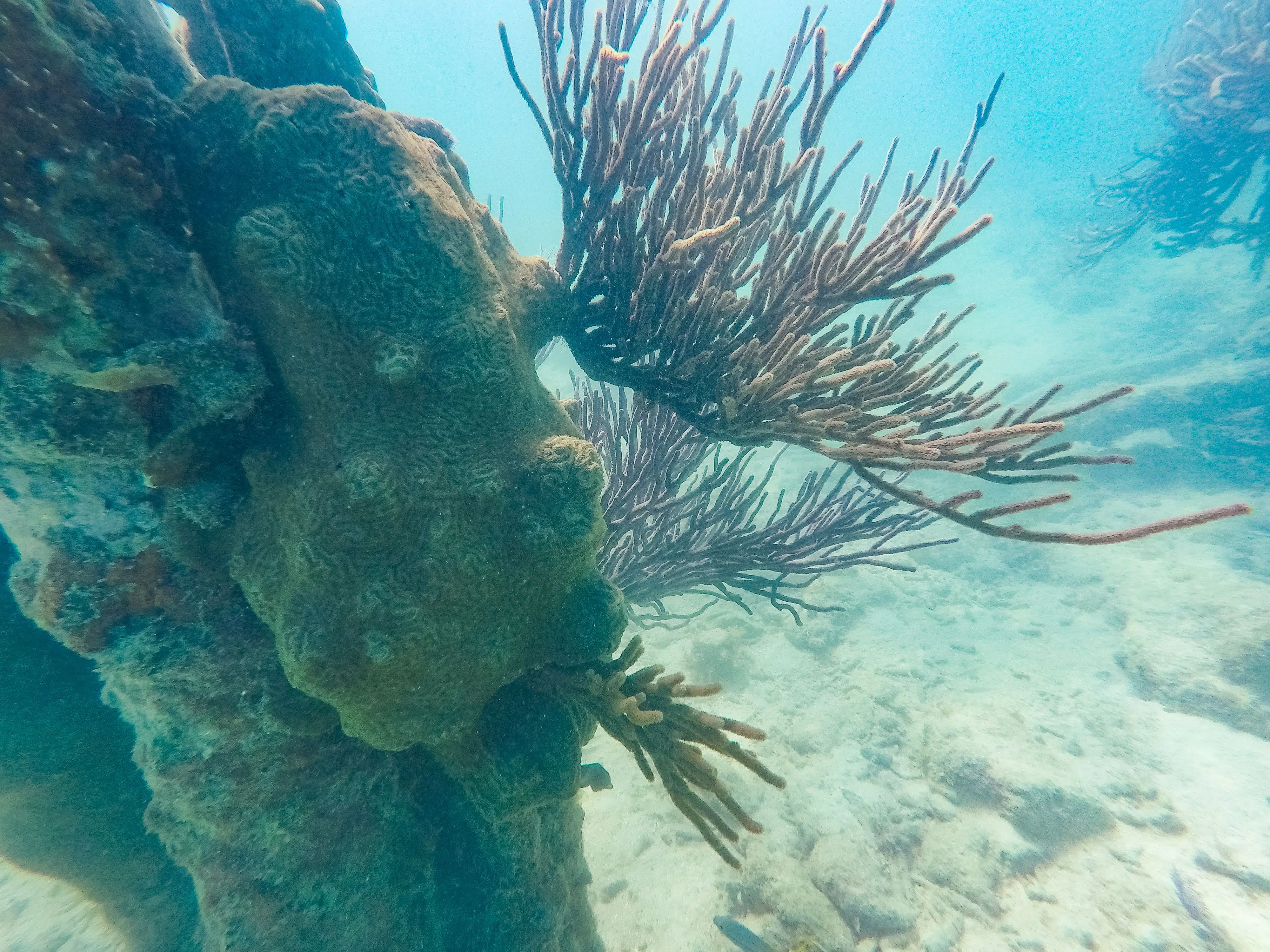 South Coaling Dock Ruins