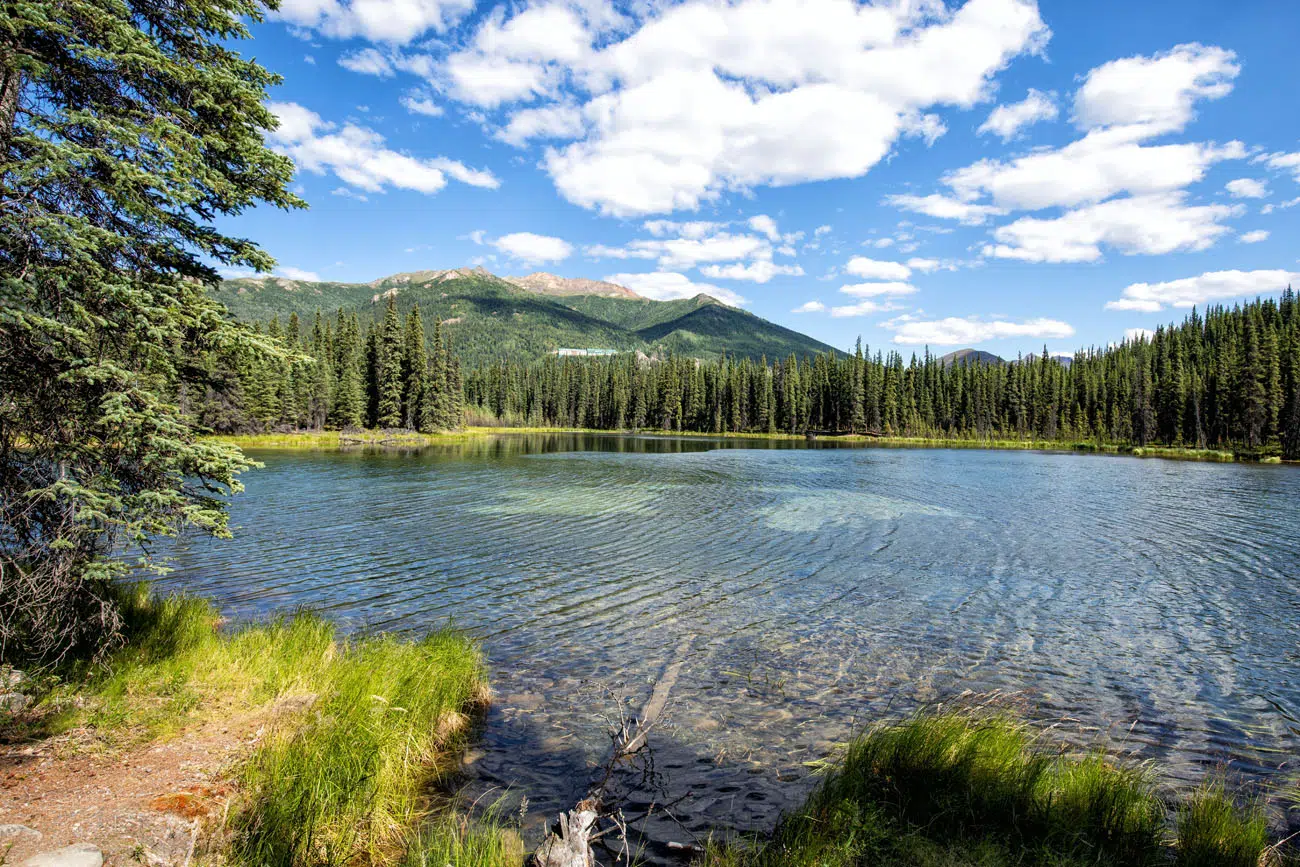 Horseshoe Lake