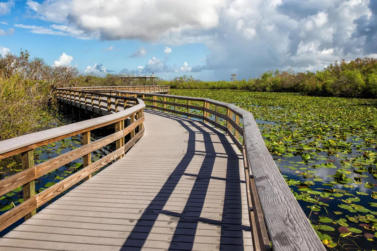 One Day in Everglades