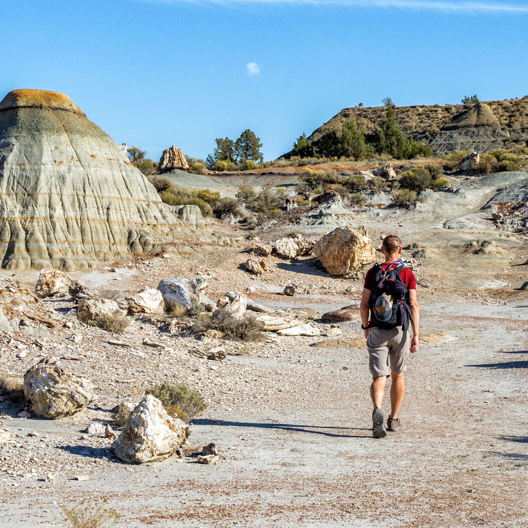 ディープフォレスト　テッケル How to Hike the Petrified Forest Trail in Theodore Roosevelt