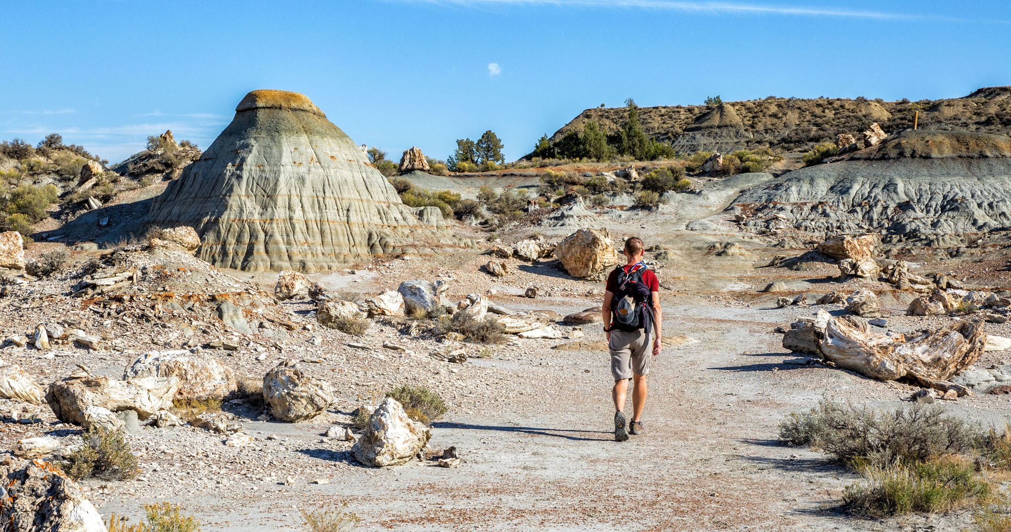 How to Hike the Petrified Forest Trail in Theodore Roosevelt