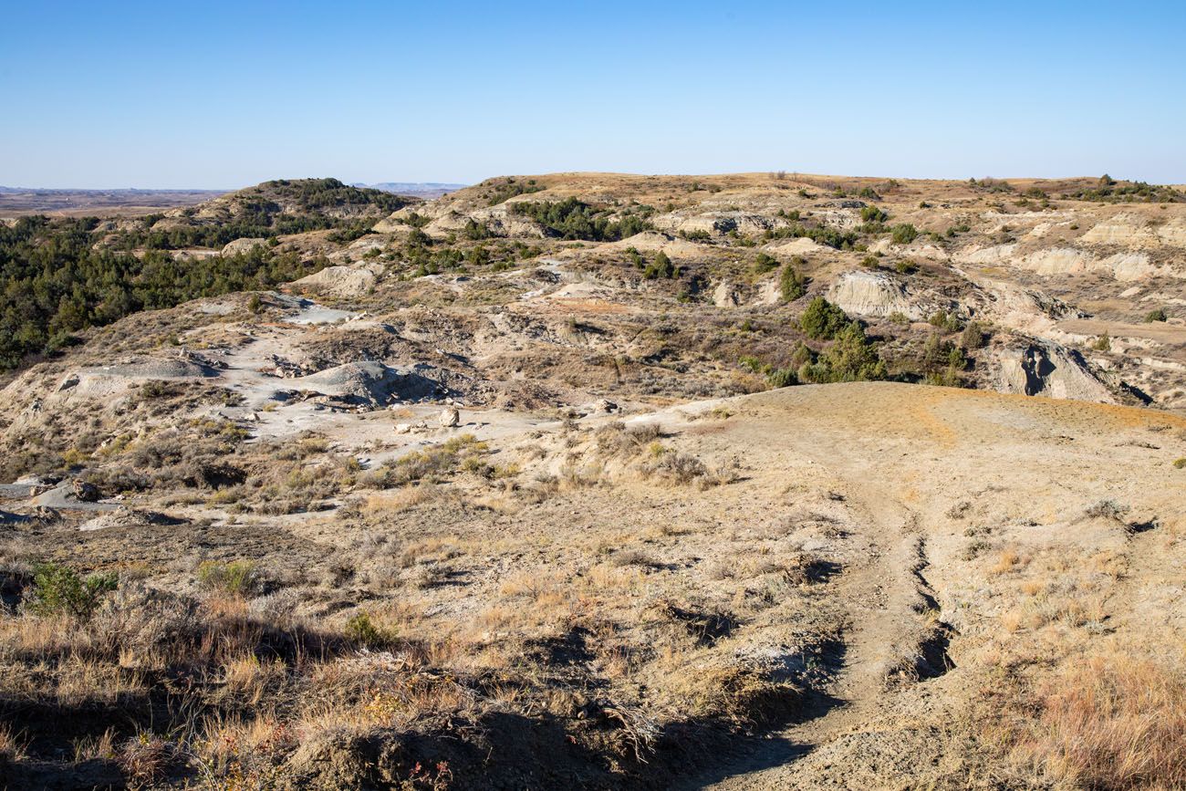 Petrifed Forest South Area