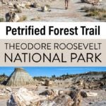 Theodore Roosevelt National Park Hike