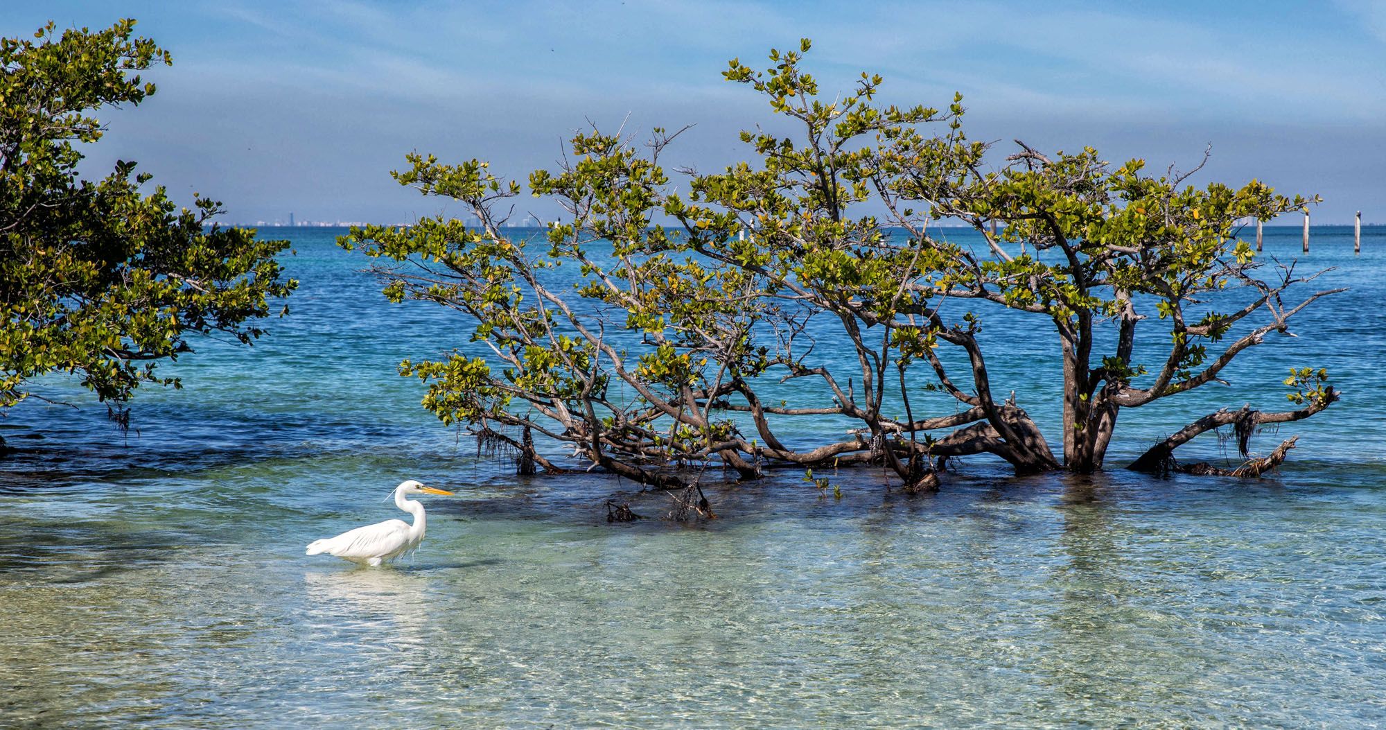 Featured image for “10 Best Things to Do in Biscayne National Park”