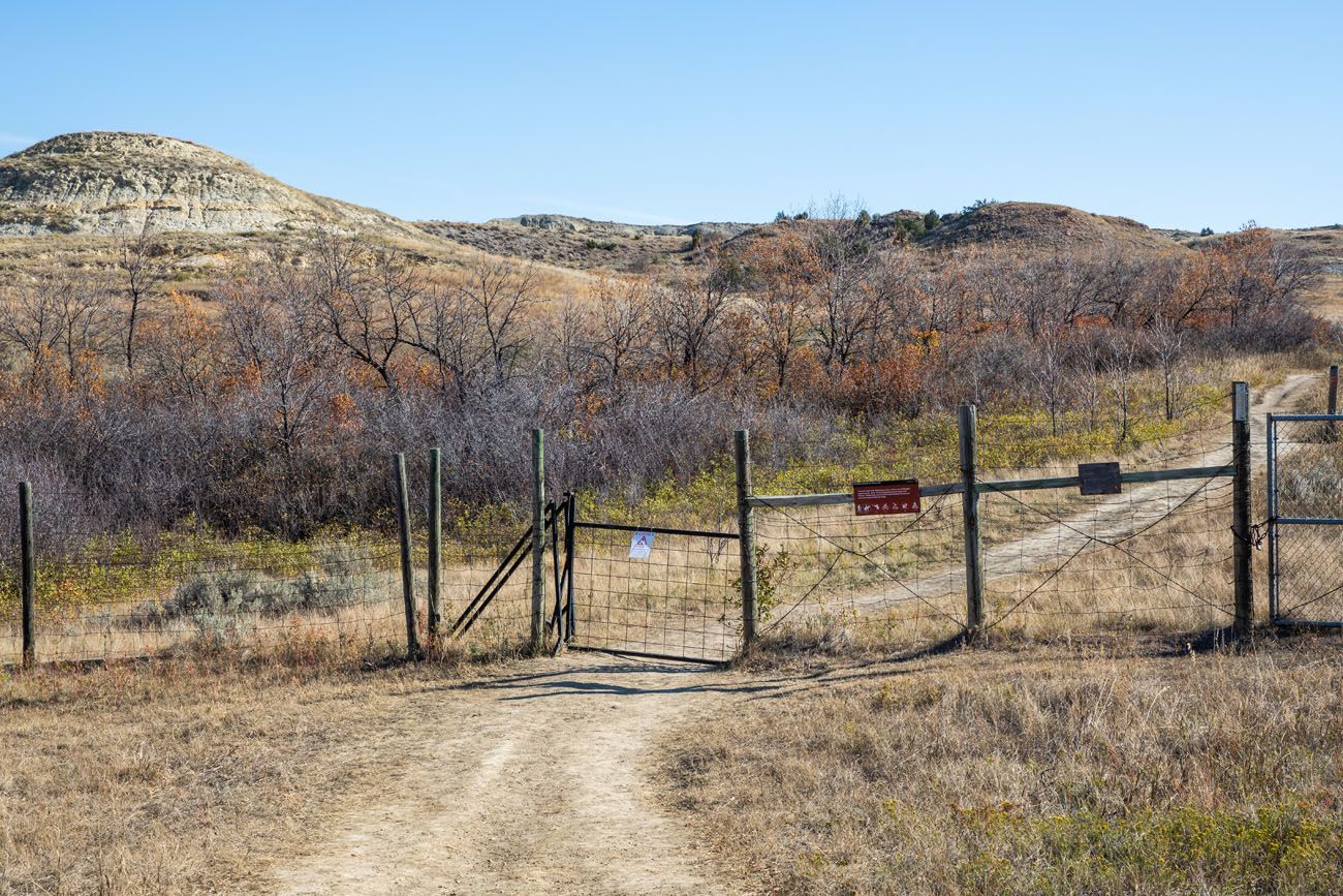 Trail and the Fence