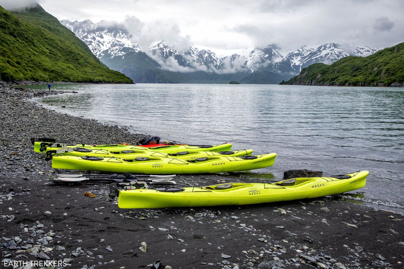 Aialik Bay Kayaking