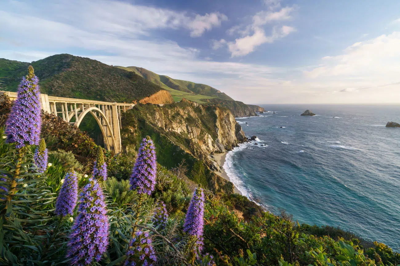 Big Sur USA Road Trips