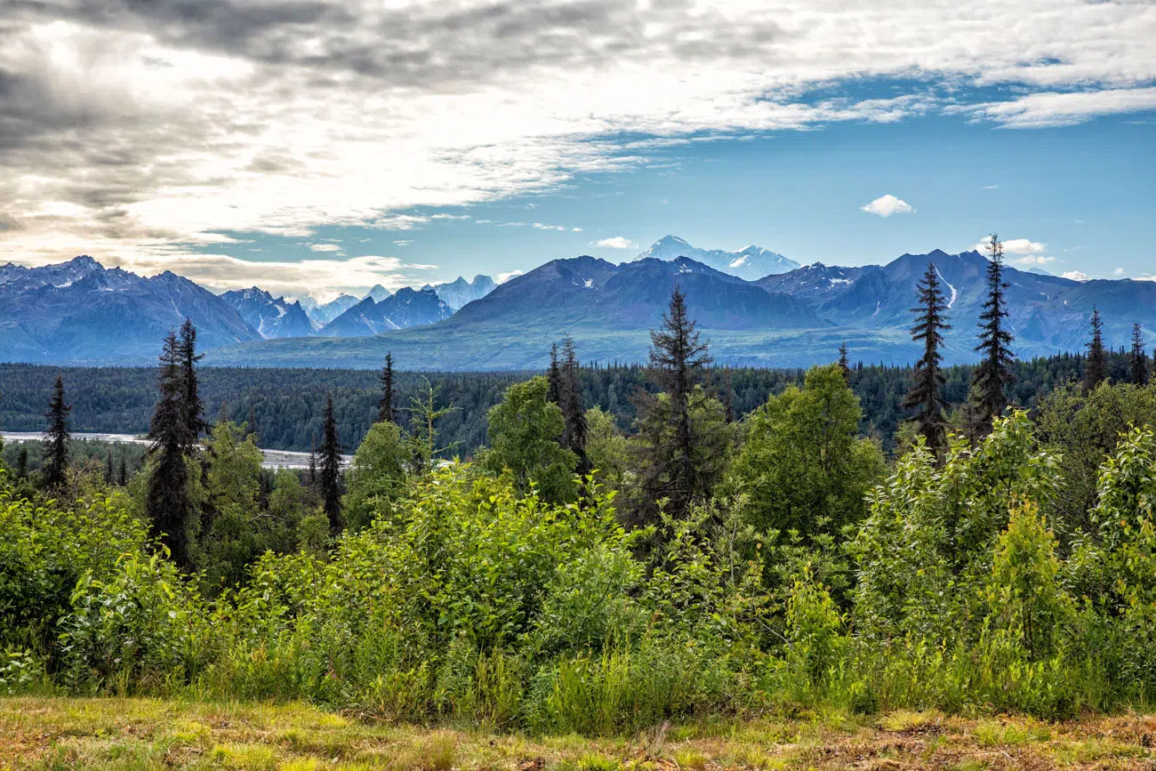 Denali North Viewpoint