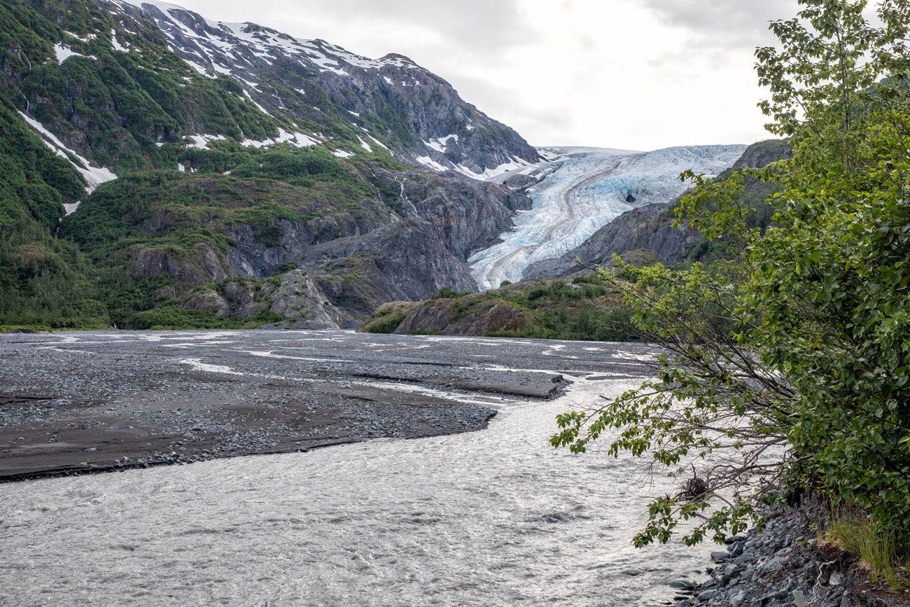 Exit Glacier View