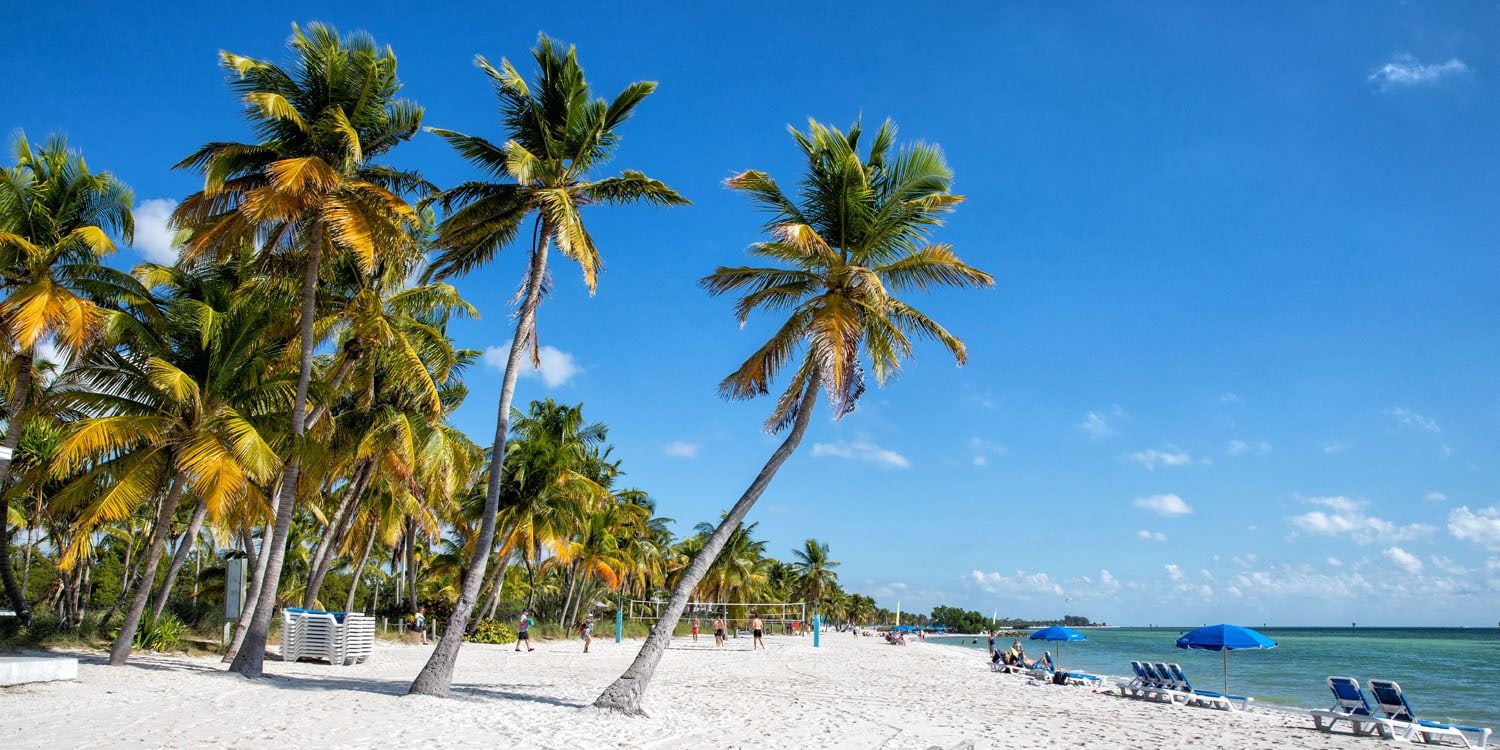 a group of people on a beach