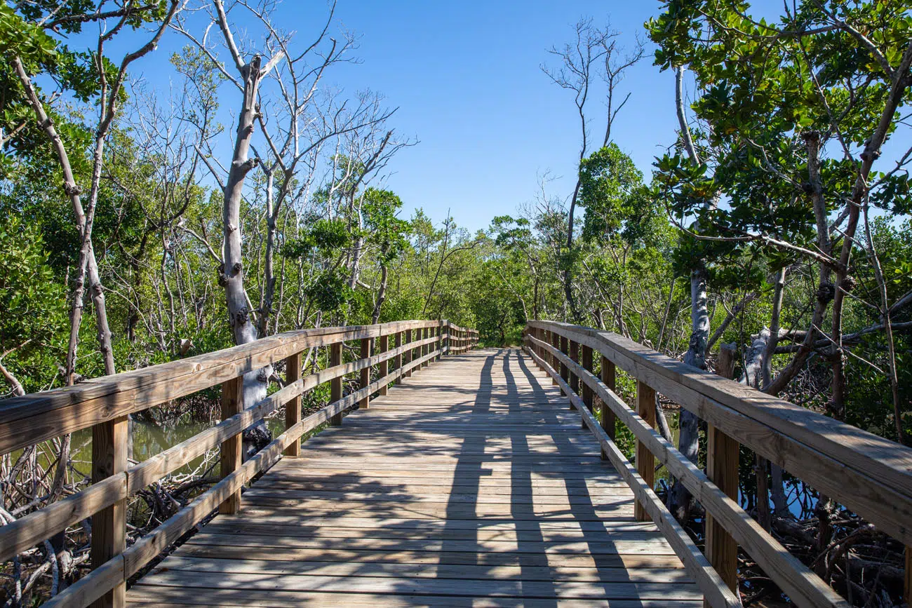 Golden Orb Trail | Things to Do in the Florida Keys