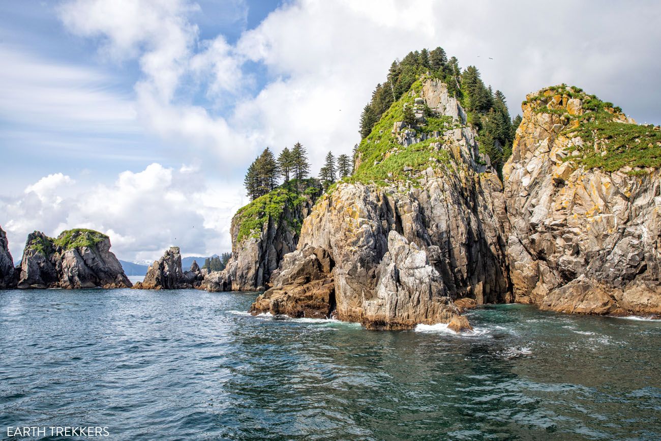 Kenai Fjords Cruise