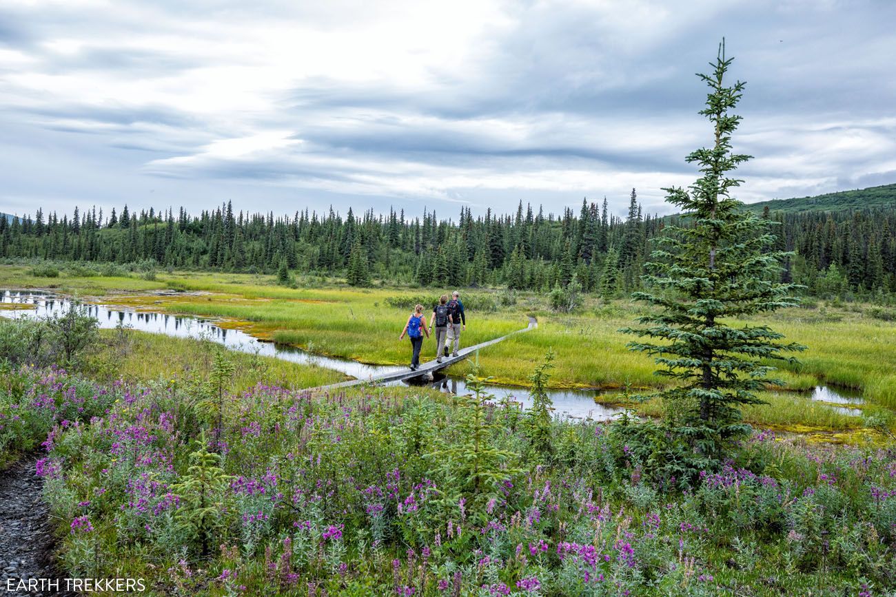 McKinley Bar Trail