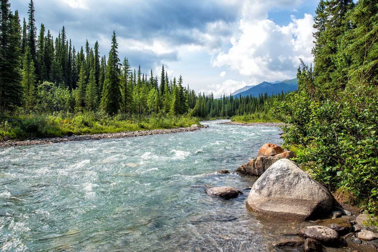 McKinley Station Trail things to do in Denali National Park