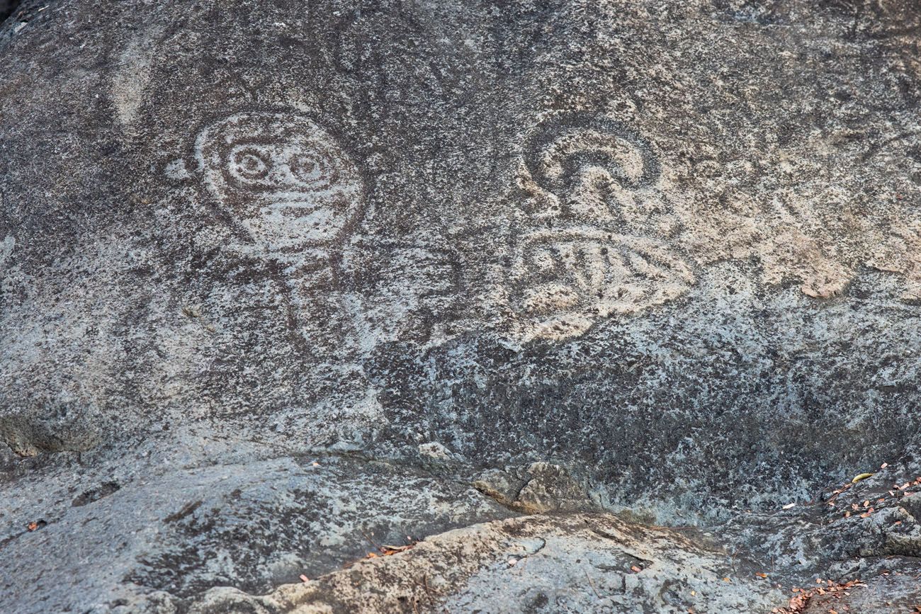 Petroglyphs Reef Bay things to do in Saint John