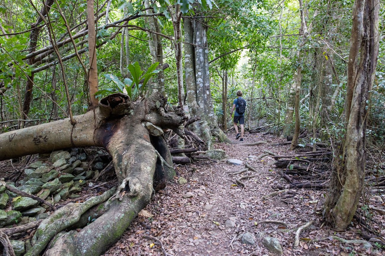 Reef Bay Trail