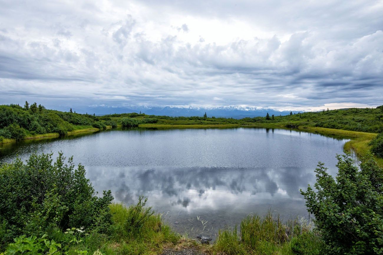 Reflection Pond things to do in Denali National Park