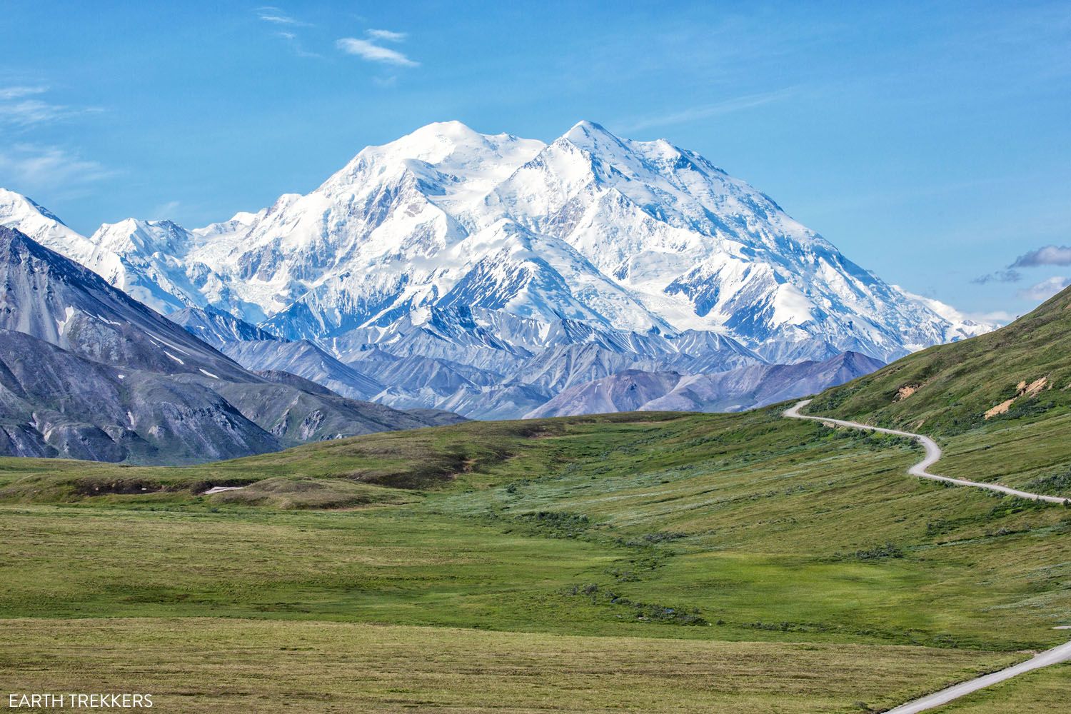 Things to do in Denali