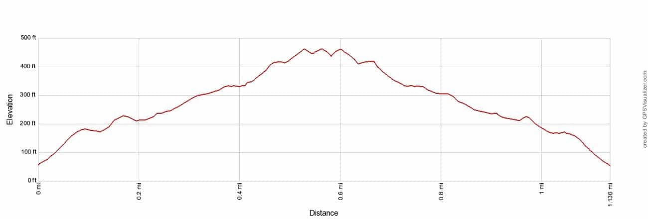 America Hill Ruins Elevation Profile