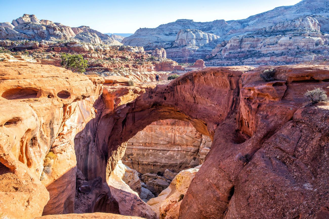 Best Hikes Capitol Reef