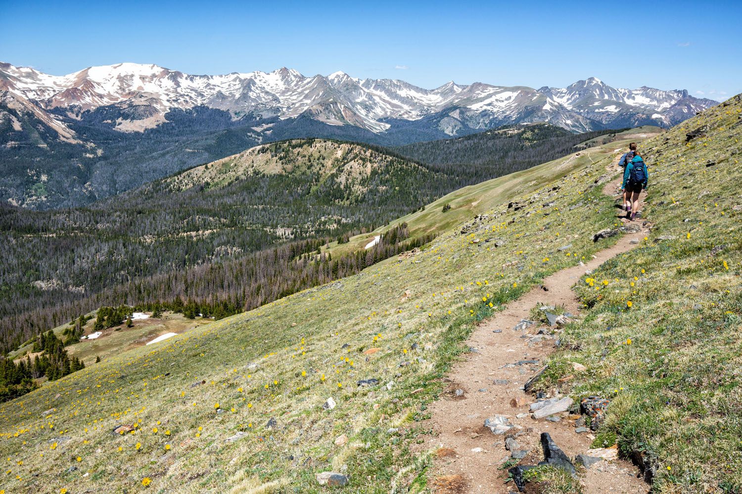 Continental Divide Trail to Mt Ida | Best Things to Do in Rocky Mountain National Park