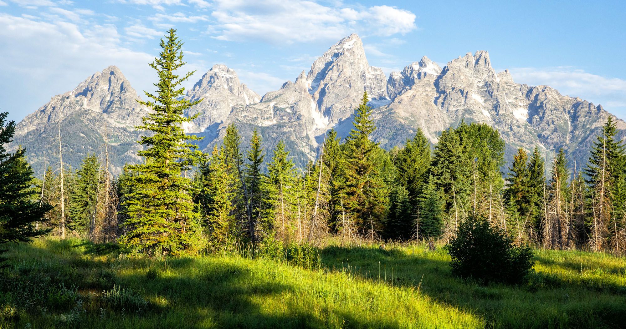 How to Visit Yellowstone and Grand Teton