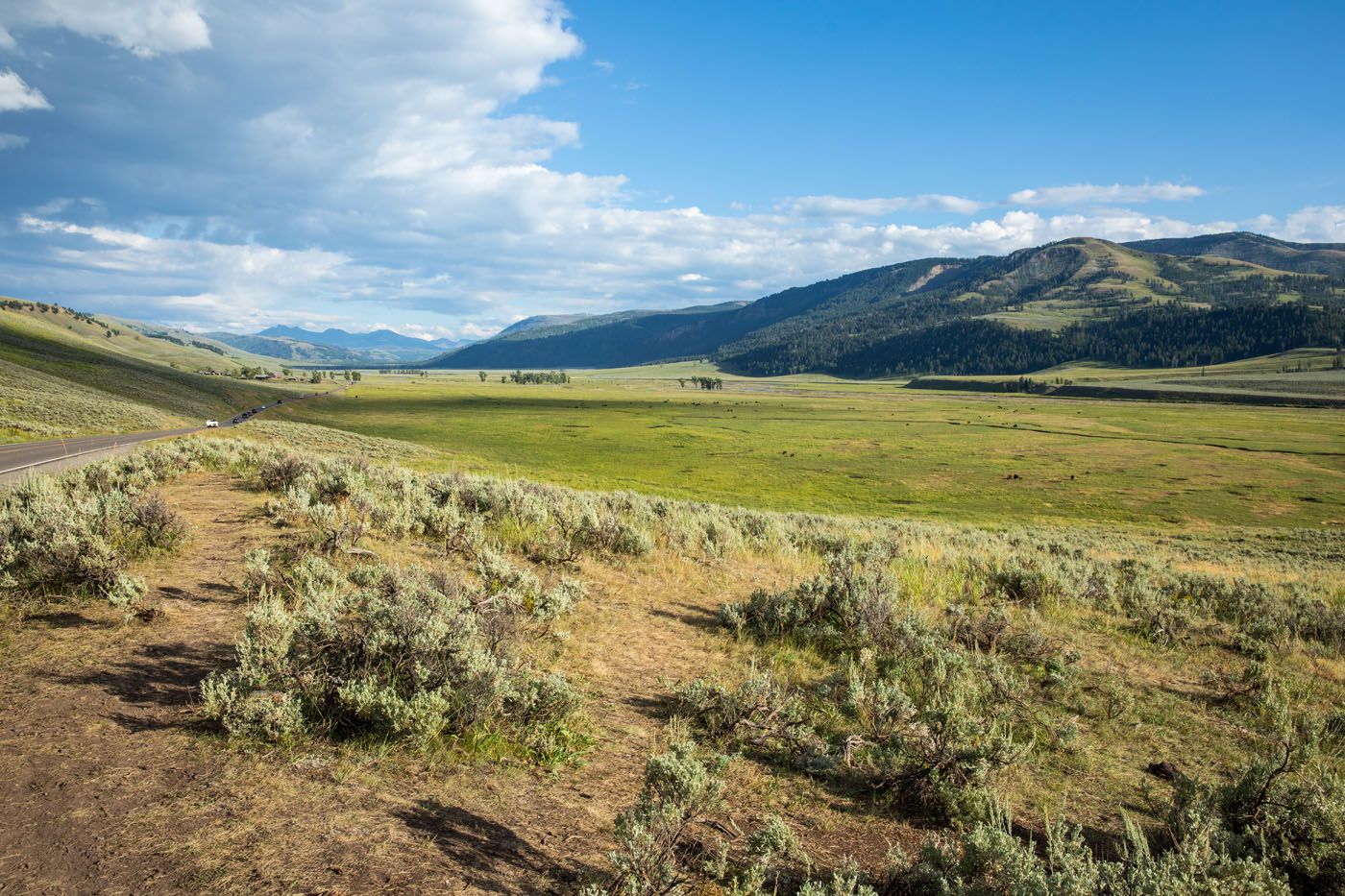 Lamar Valley Yellowstone and Grand Teton itinerary