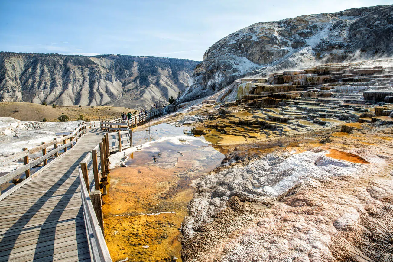 Mammoth Hot Springs