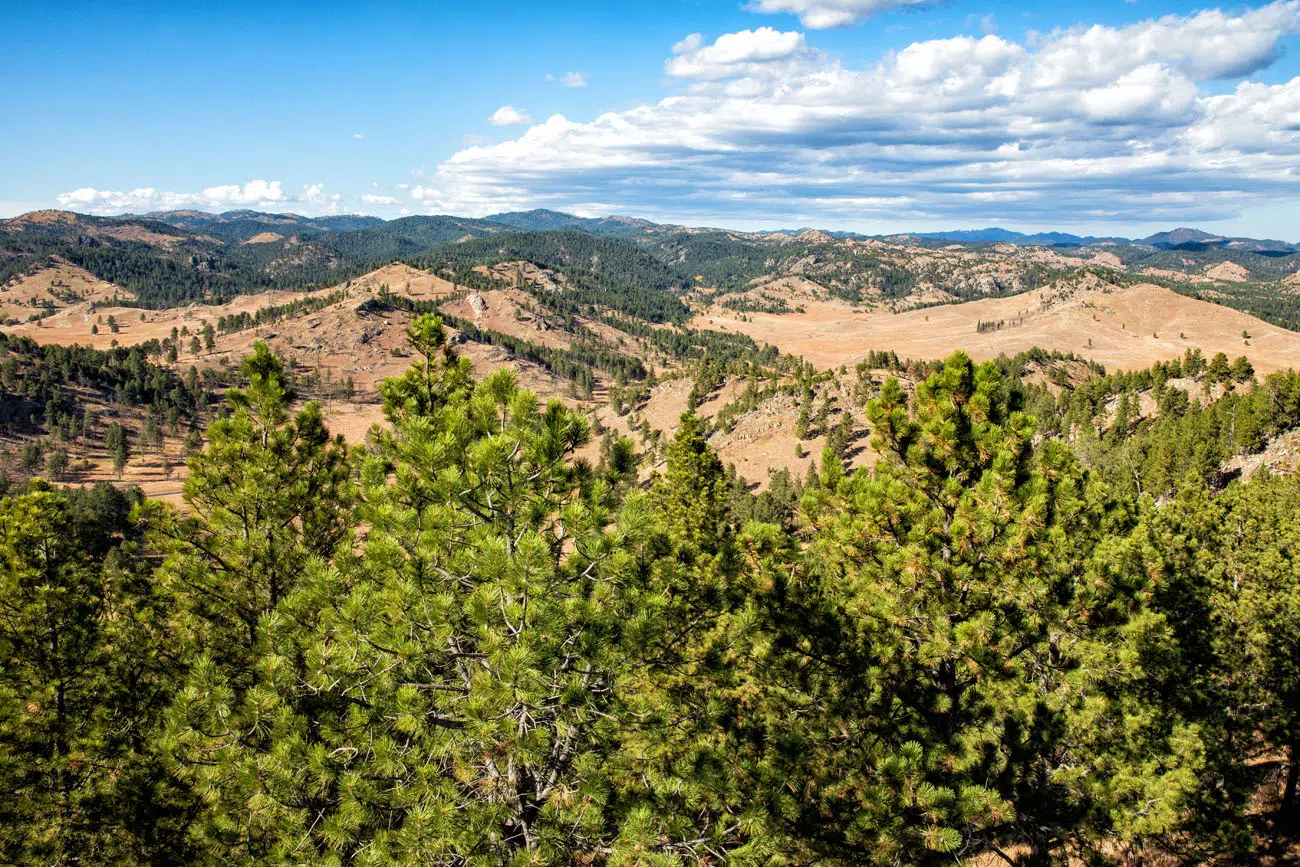 Rankin Ridge Trail View