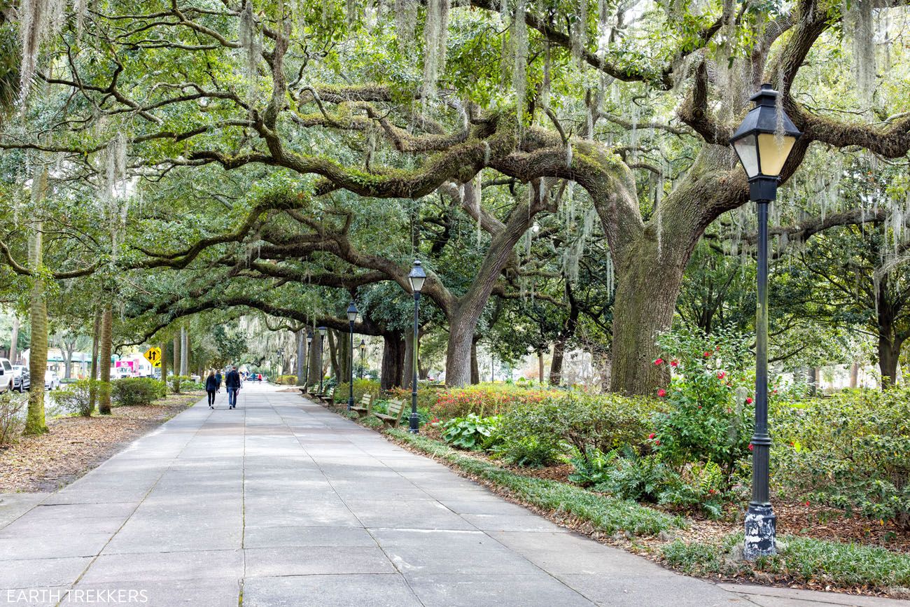 Things to Do in Savannah Georgia