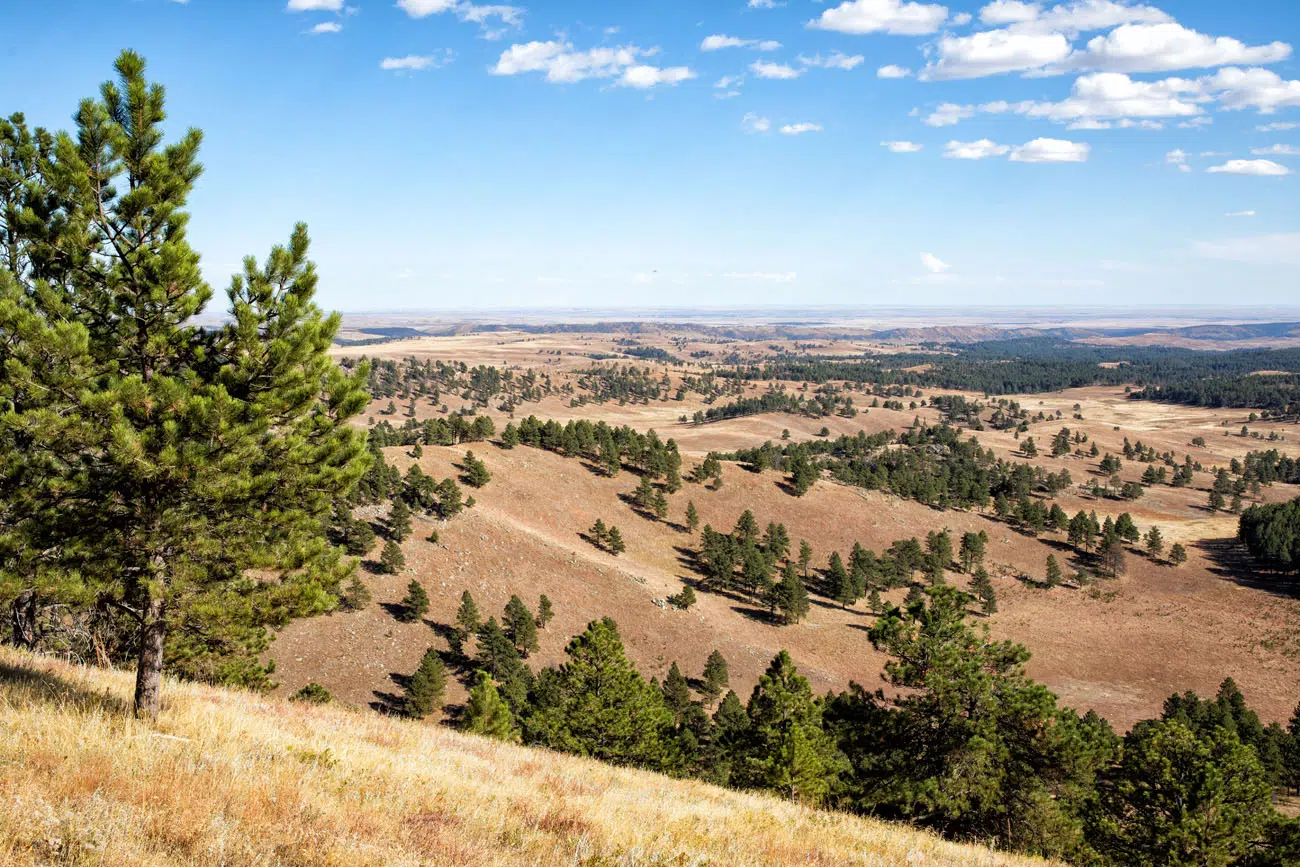 View from Rankin Ridge