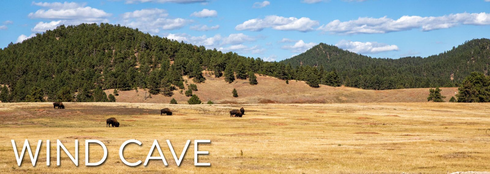 Wind Cave National Park