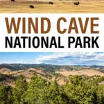 6 Best Places to See Wildlife in Wind Cave National Park - The