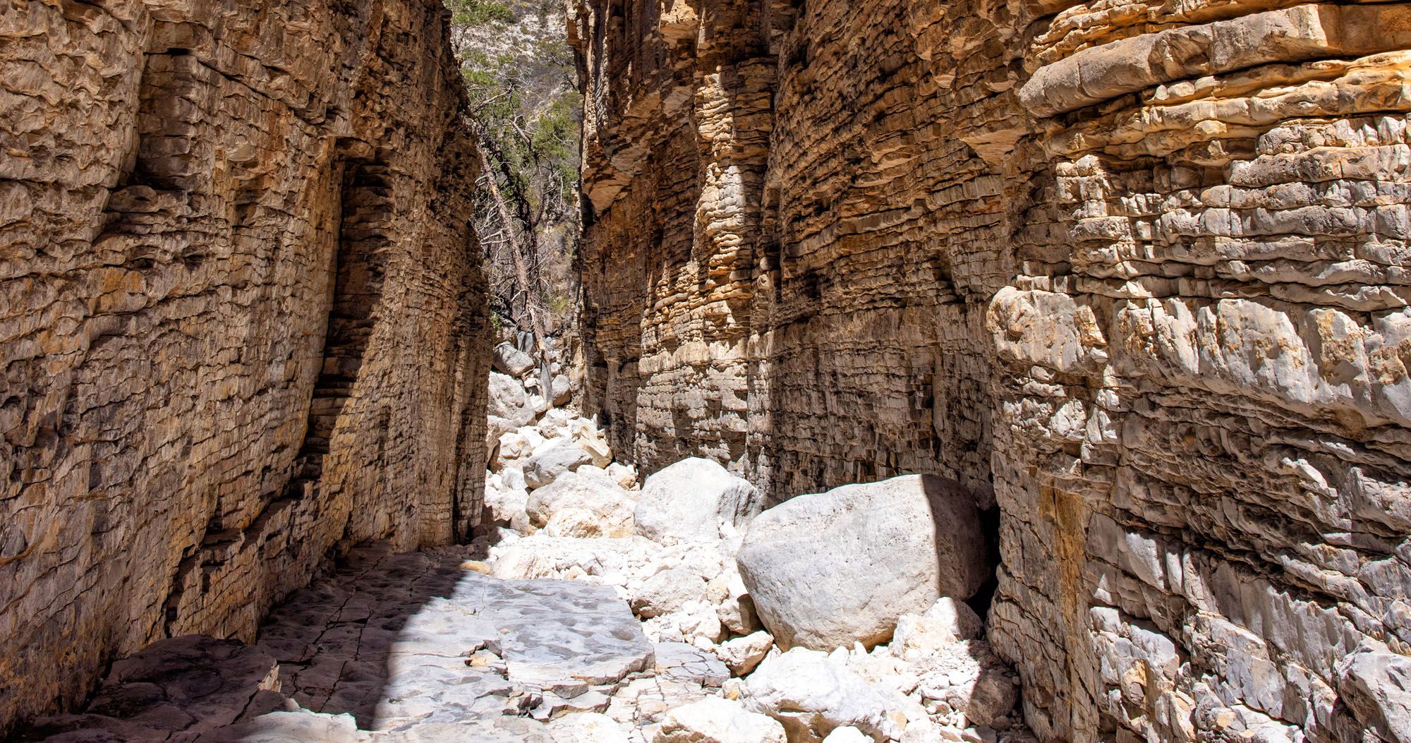 Featured image for “How to Hike the Devil’s Hall Trail | Guadalupe Mountains National Park”