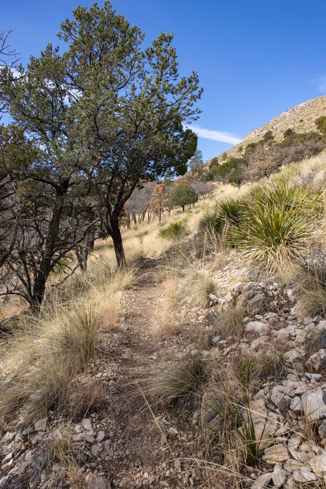 Dog Canyon Hike