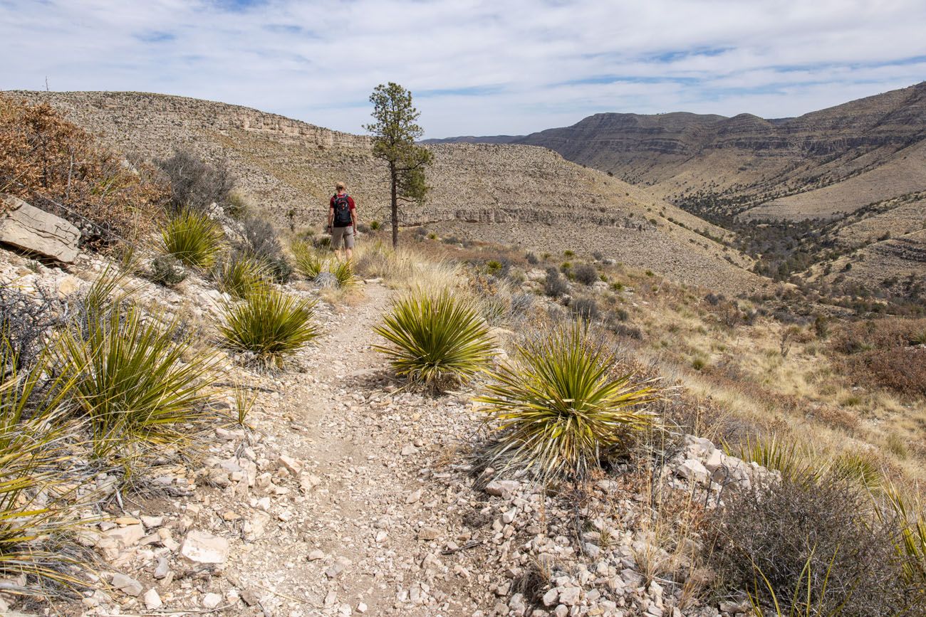 Dog Canyon