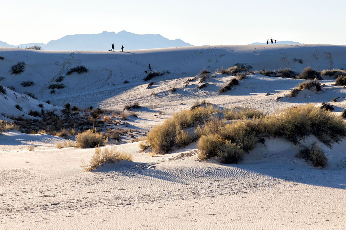 Dune Life Nature Trail