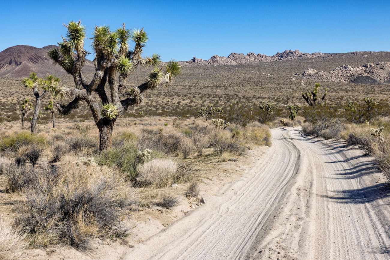 Geology Tour Road