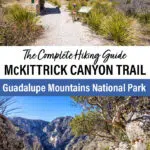 How to hike the McKittrick Canyon Trail in Guadalupe Mountains National Park: map, photos, elevation profile, and more.