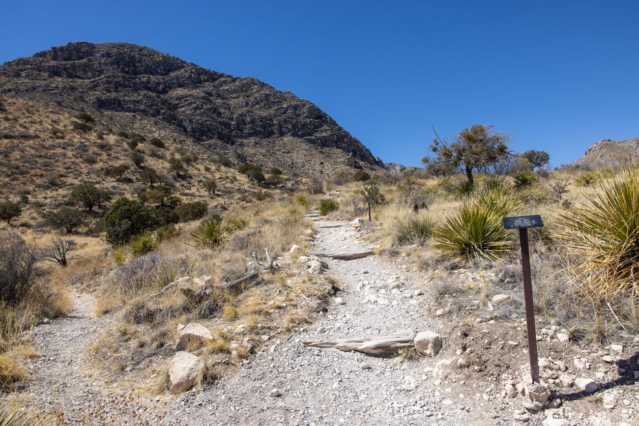 Guadalupe Peak Trail Junction