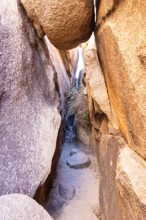 How to Hike the Hall of Horrors Joshua Tree National Park Earth Trekkers