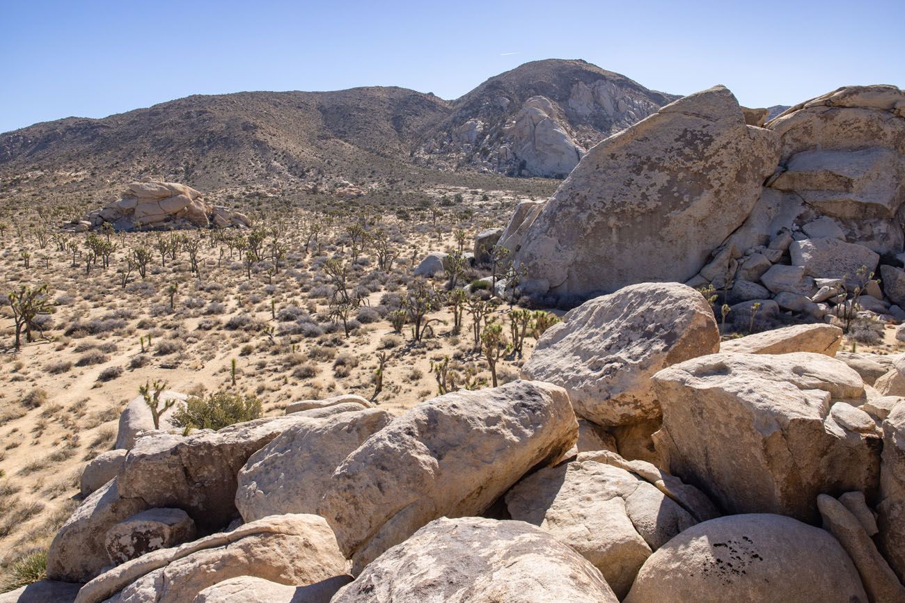 Hall of Horrors View best things to do in Joshua Tree