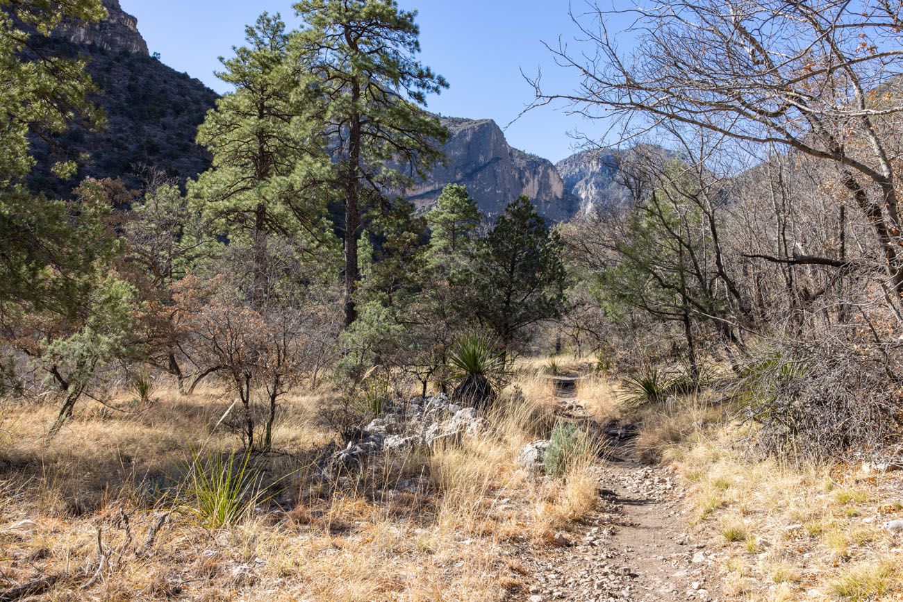 In McKittrick Canyon