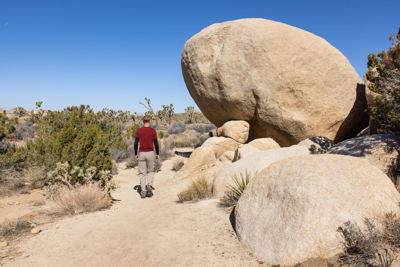 Joshua Tree Boulders