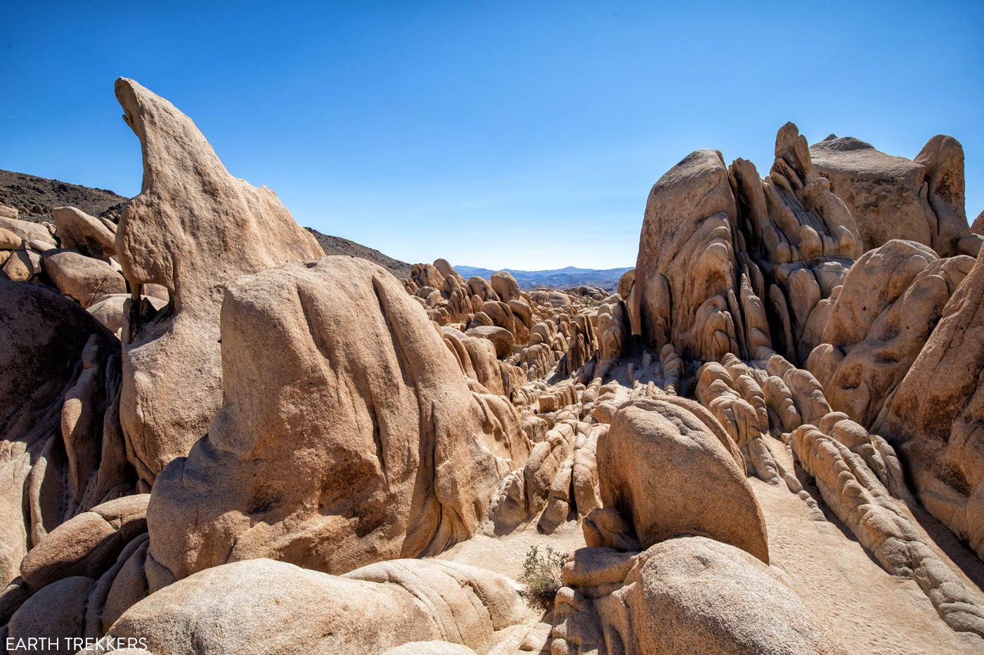 Joshua Tree National Park