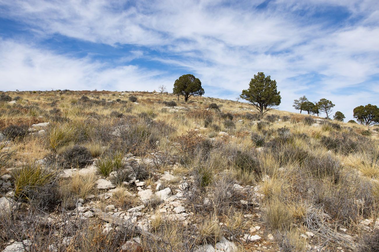 Lost Peak Hike