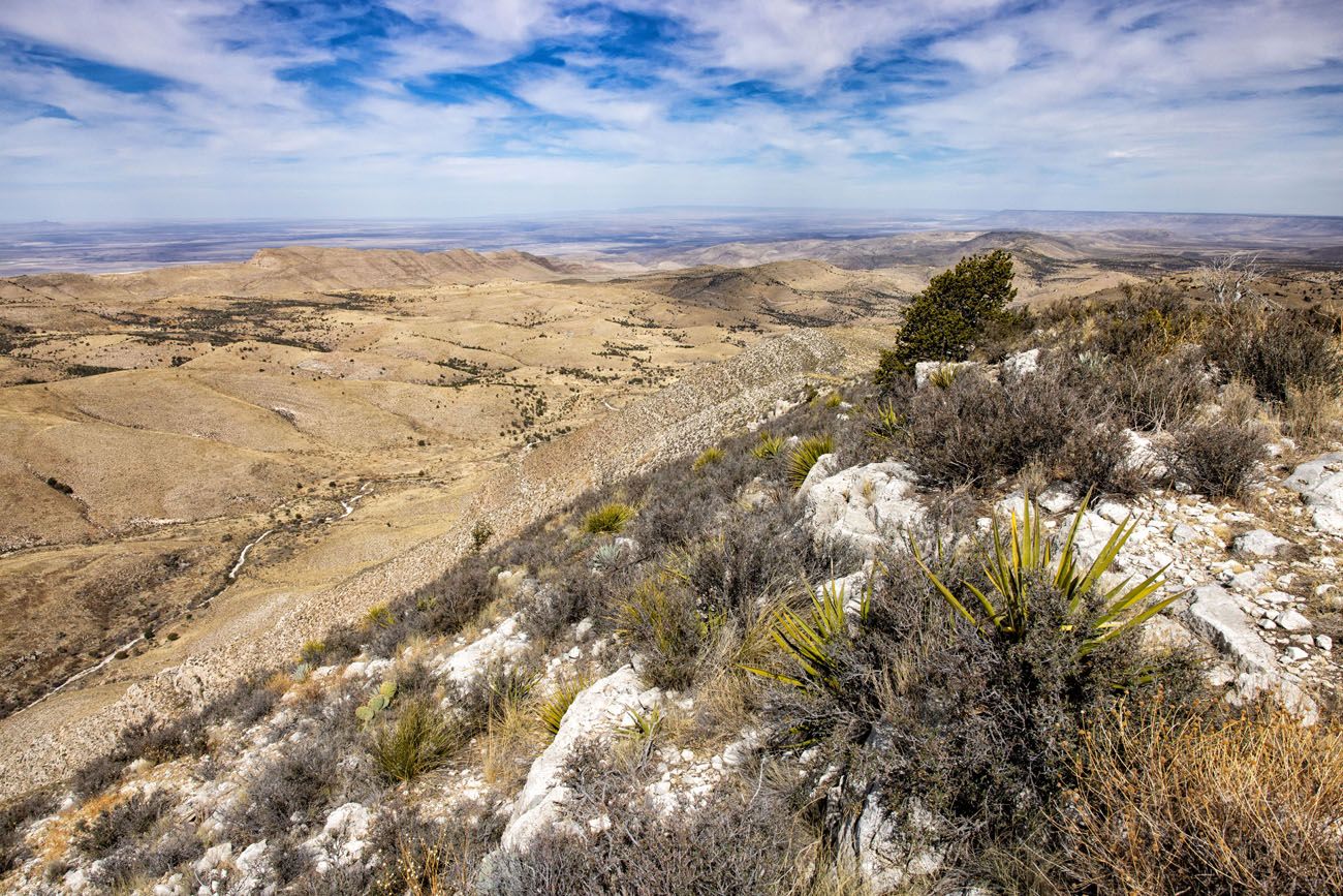 Lost Peak View