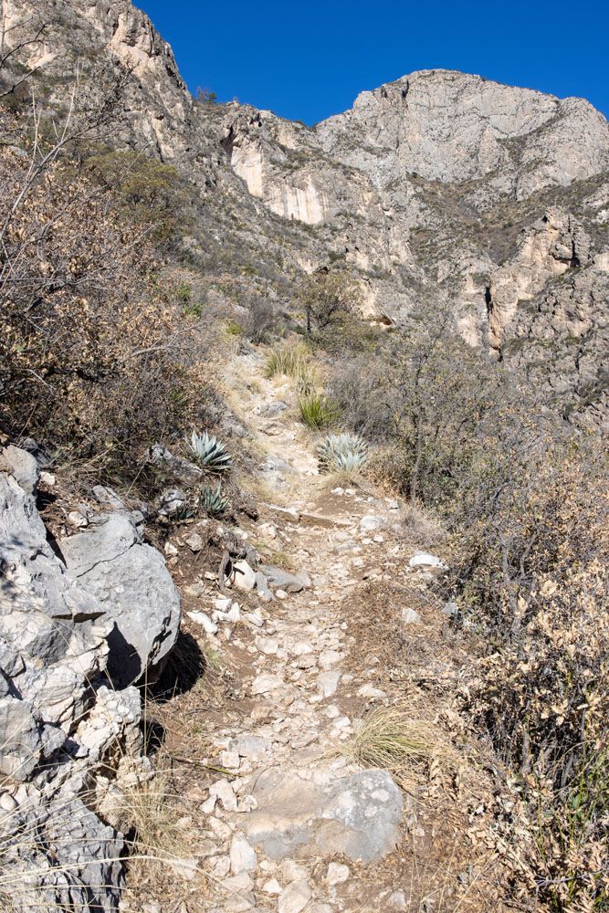 McKittrick Canyon Trail Photo