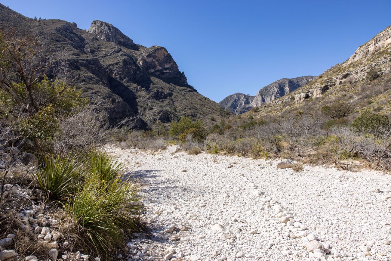 McKittrick Canyon Trail Wash